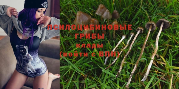 дмт Алзамай