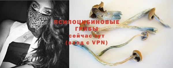 шишки Алексин