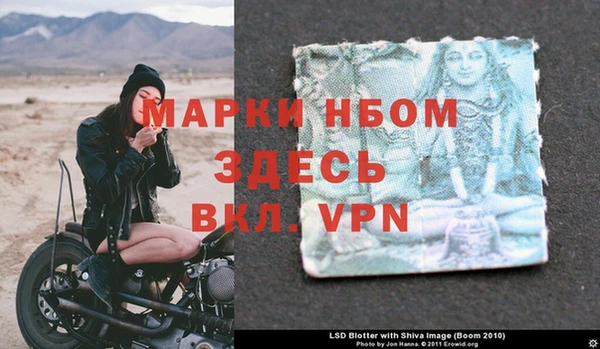 дмт Алзамай