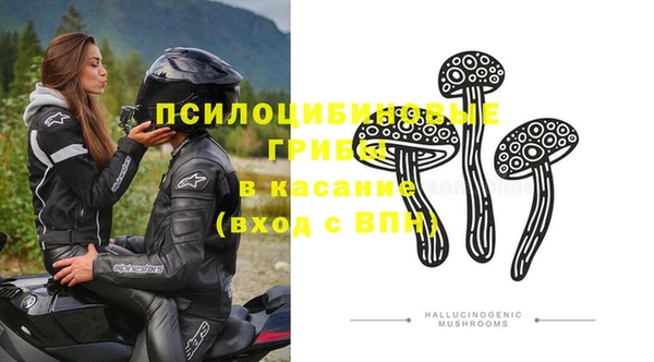 шишки Алексин